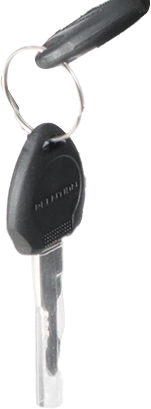 Electric bicycle key